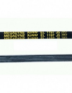 Arruela correia 1197 j5 runoud