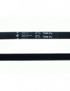 1244 PJ Lavagem de lavagem