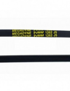 1262 J5 Lavagem de lavagem