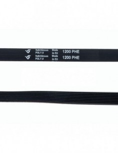 1200 Phe Washing Alta