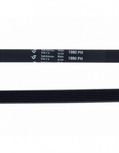 1980 PH Washing Strap