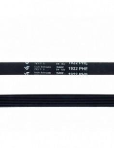 1922 Phe Washing Strap