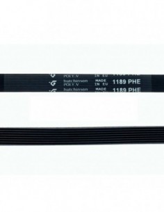 Cinturão de lavagem de Phe