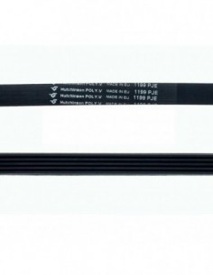 Cinta de diretório 1199 PJE