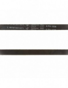 1936 H6 Strap (L461973011871)