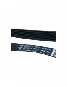 6pje 1201 Lavagem de lavagem 2