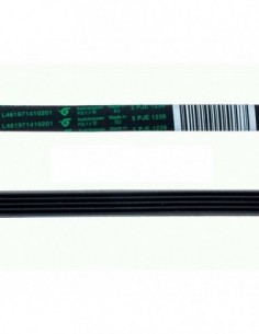 5pje 1239 Lavagem Correa (L461971410201)