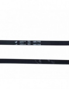 Coraa Draria 1965 PHE 481235818186