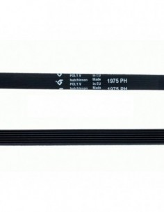 1975 H7 Secer Correa