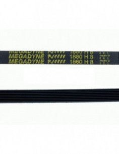 Correia de secagem 1860 H8