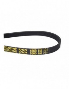 Correia de secagem 1860 H8 2