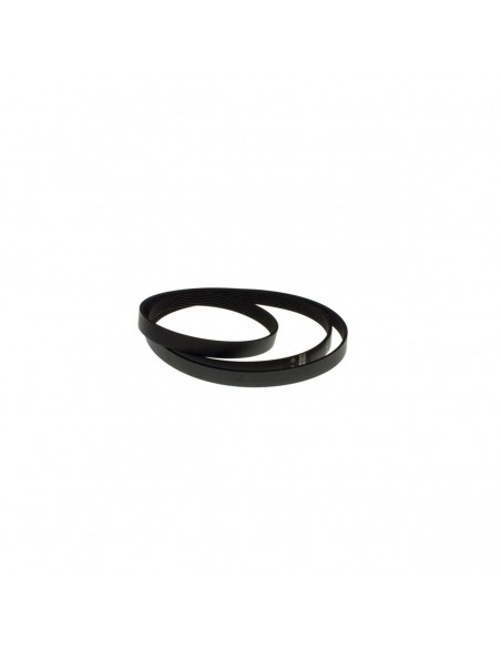 1904 Phe Dryer Belt
