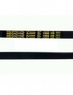 Secagem correia 1966 H9