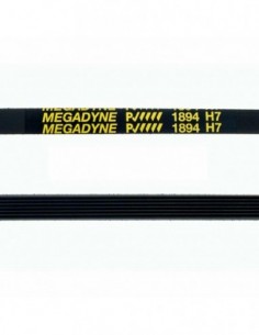 1894 H7 Secking tira