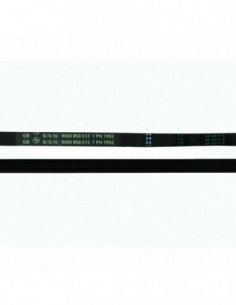 7ph Dery Correa 1992 900 858 513