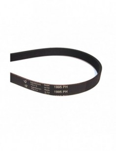 Correa Secer 1995 Ph 00650499 9000431719) 2