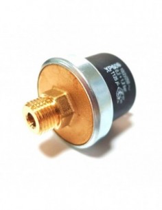 Caldeira caudal Ariston XP600 1/4M 995903