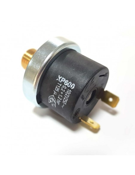 Caldeira caudal Ariston XP600 1/4M 995903