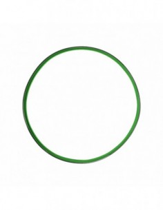 Placa verde Thermomix tm31