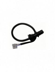 Footborts Board Caldera Roca